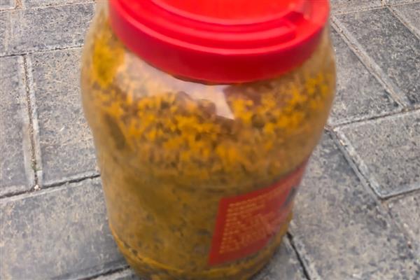 钓鲫鱼如何搭配窝料，可将各种谷物掺在一起并加水搅拌