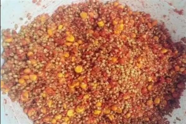 钓鲫鱼如何搭配窝料，可将各种谷物掺在一起并加水搅拌