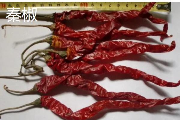 我国的辣椒产地,主产于湖南、四川、贵州等省份