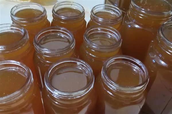 土蜂蜜简介，是指土蜂采集山野百花酿制的蜂蜜