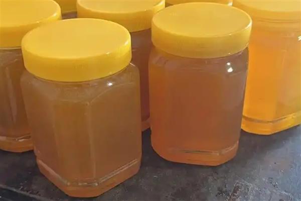 土蜂蜜简介，是指土蜂采集山野百花酿制的蜂蜜