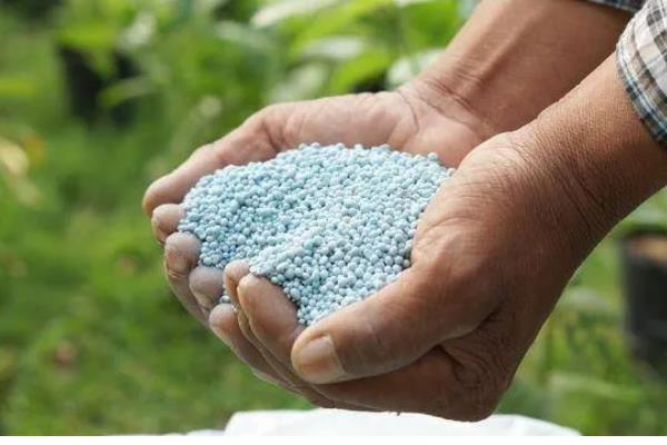 哪些化肥不能与碱性物质混用,常见硫酸铵、硝酸铵、氯化铵等种类