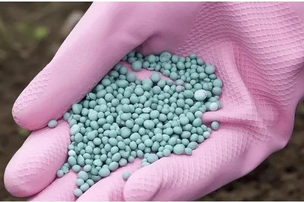 哪些化肥不能与碱性物质混用,常见硫酸铵、硝酸铵、氯化铵等种类