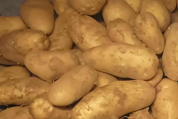 保存土豆有哪些注意事项，一定要忌高温、水多等