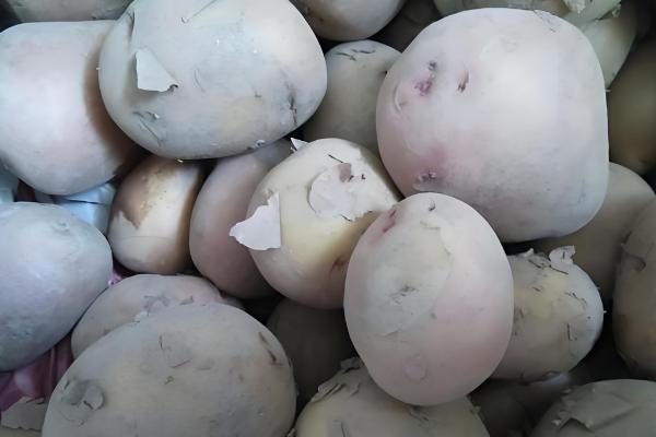 保存土豆有哪些注意事项，一定要忌高温、水多等