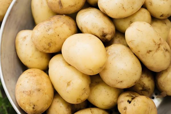 保存土豆有哪些注意事项，一定要忌高温、水多等