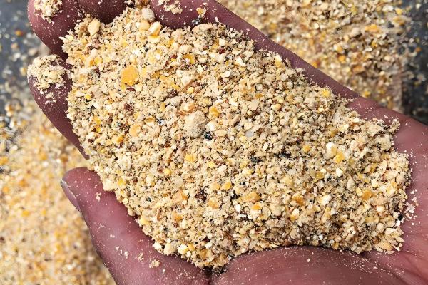 猪口蹄疫一般持续多久，良性的7天便可自愈