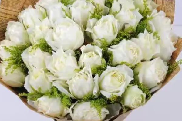 批发玫瑰花的价格,一朵售价2元左右