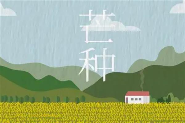 芒种又叫忙种吗，芒种又叫忙种