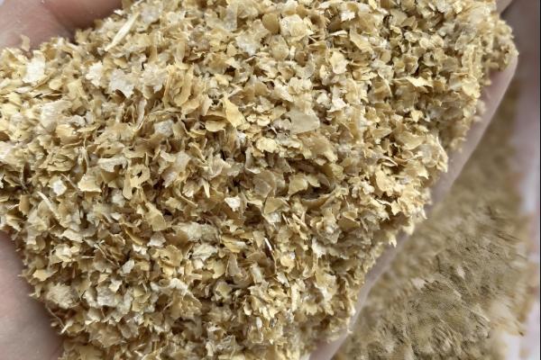 钓白条鱼用哪种饵料打窝，推荐商品饵料、麦麸饼等