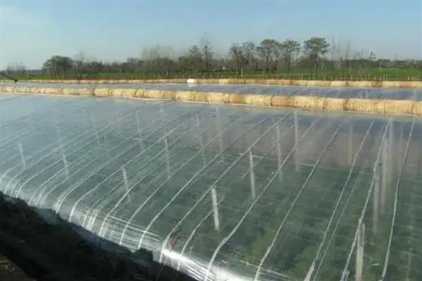 修补破损农膜的方法,以下6种方式酌情选择