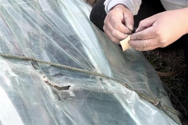 修补破损农膜的方法,以下6种方式酌情选择