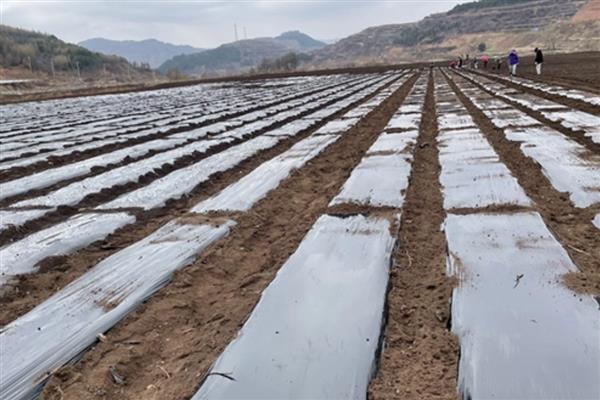 修补破损农膜的方法,以下6种方式酌情选择