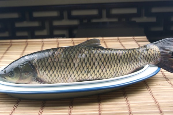 草鱼的价格,一斤需要8-12元左右