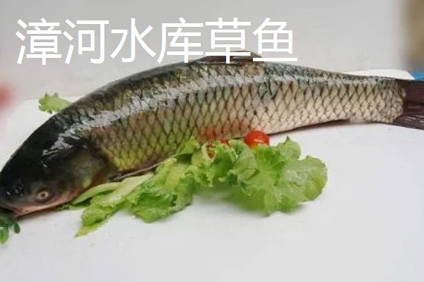 草鱼的价格,一斤需要8-12元左右