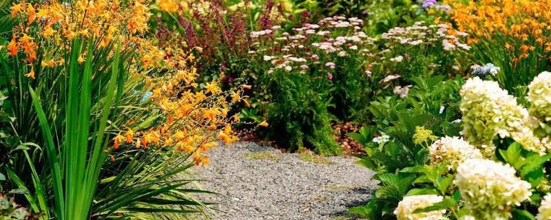 园林植物药害预防措施，要尽可能少用化学药剂