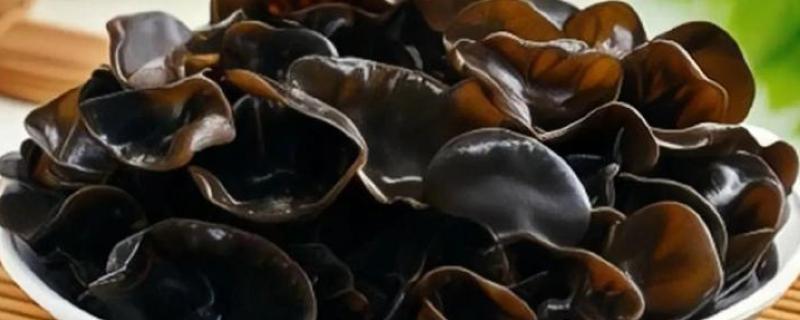 东北的特产有哪些，有黑木耳、人参等