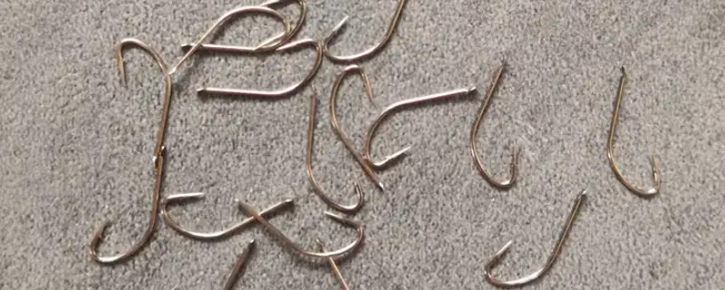 秋田狐鱼钩的适钓鱼种，适合垂钓麦穗鱼、鲫鱼等