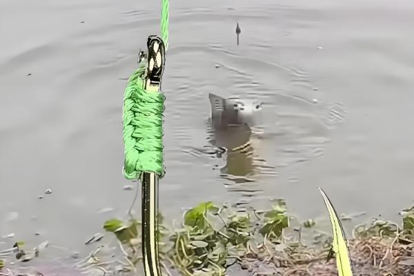 台钓的调漂技巧,以下4种方式酌情使用