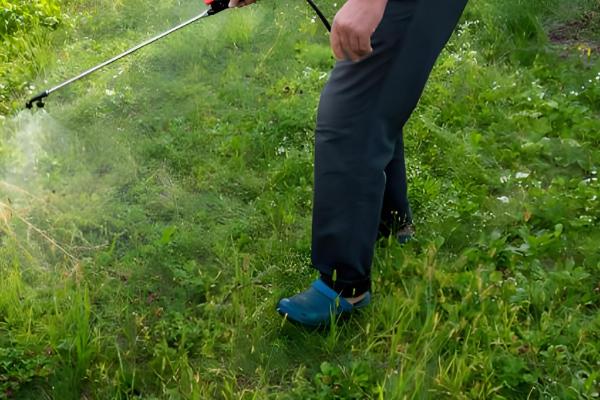 草甘膦在土壤中会残留多久,通常经过一天就会消失