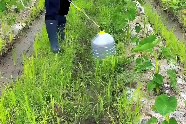 草甘膦在土壤中会残留多久,通常经过一天就会消失