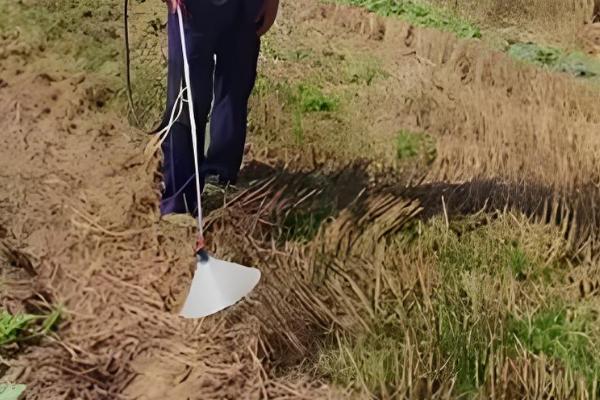 草甘膦在土壤中会残留多久,通常经过一天就会消失