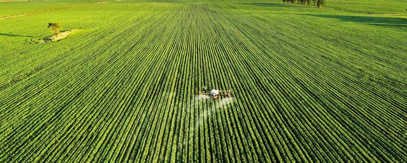 黑龙江农业的发展主线，是种植业