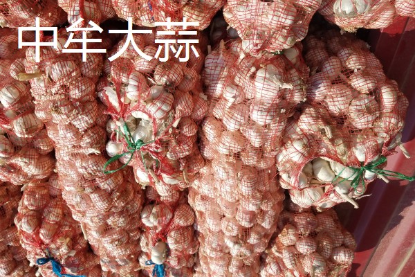 河南的土特产,有汴梁西瓜、原阳大米等