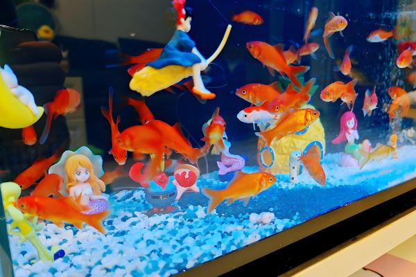 小鱼吃不吃馒头，小鱼能吃馒头