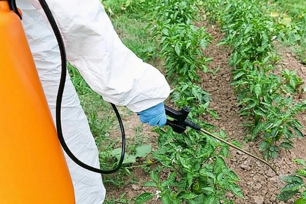 如何清除蔬菜上面的残留农药，以下6种方式均有效果