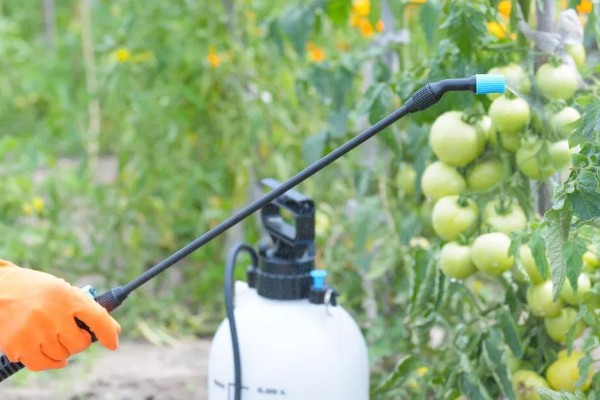 如何清除蔬菜上面的残留农药，以下6种方式均有效果