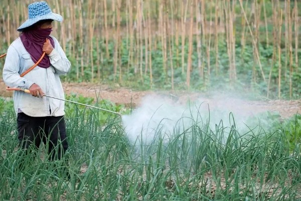 如何清除蔬菜上面的残留农药，以下6种方式均有效果