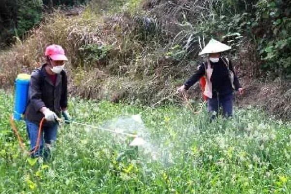 如何清除蔬菜上面的残留农药，以下6种方式均有效果