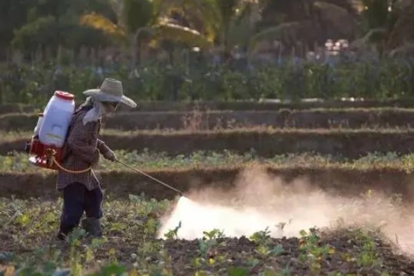 如何清除蔬菜上面的残留农药，以下6种方式均有效果