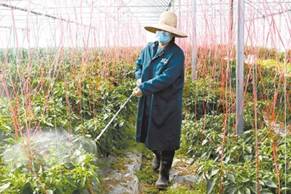 如何清除蔬菜上面的残留农药，以下6种方式均有效果