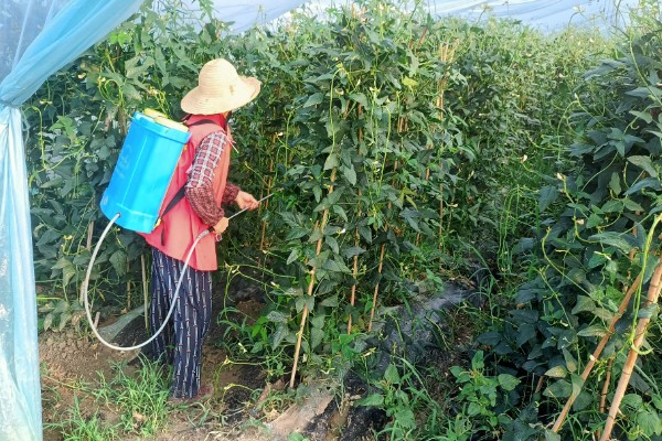 如何清除蔬菜上面的残留农药，以下6种方式均有效果