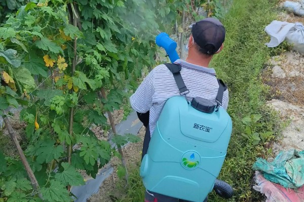 如何清除蔬菜上面的残留农药，以下6种方式均有效果