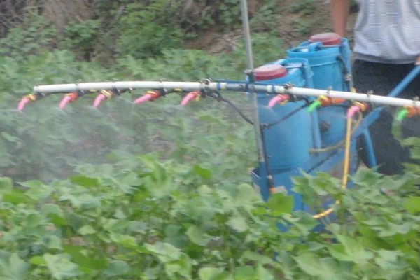 如何清除蔬菜上面的残留农药，以下6种方式均有效果