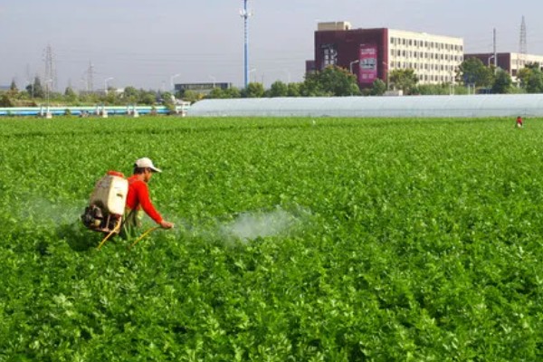 如何清除蔬菜上面的残留农药，以下6种方式均有效果