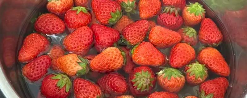 怎么洗草莓，用流通的清水冲洗