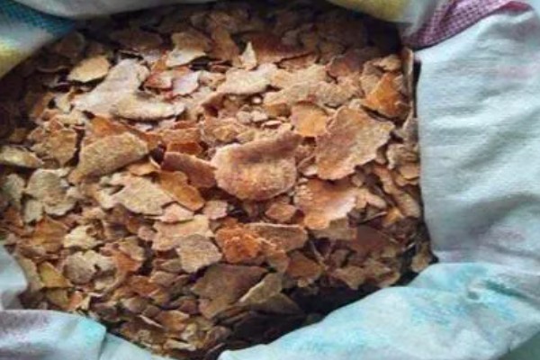 花生麸有什么作用,可当成优质的有机肥