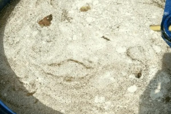 花生麸有什么作用,可当成优质的有机肥