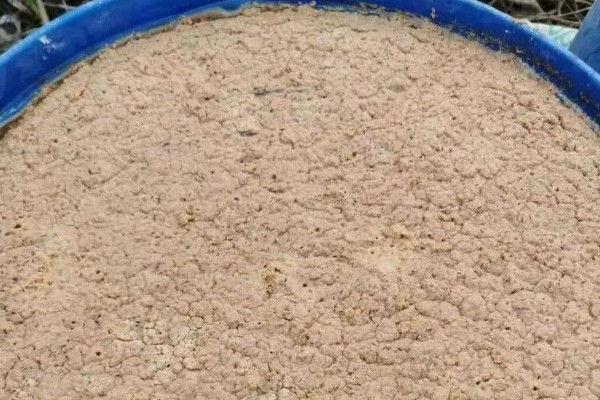 花生麸有什么作用,可当成优质的有机肥