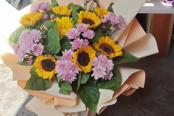 小雏菊如何醒花，第一时间不进行任何的修剪