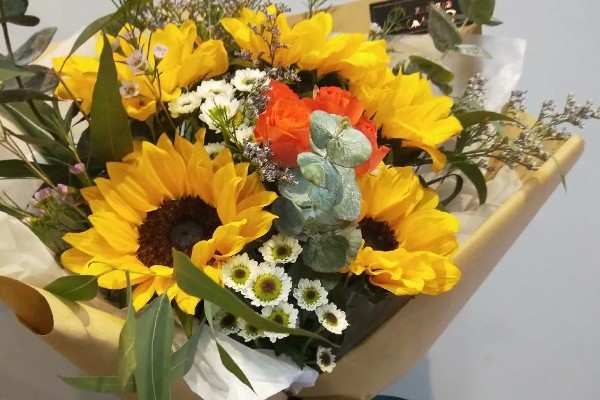 小雏菊如何醒花，第一时间不进行任何的修剪