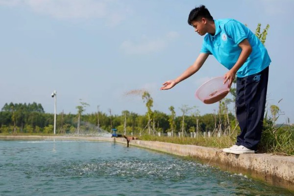 养殖梭子蟹要注意什么，水源不能受到污染