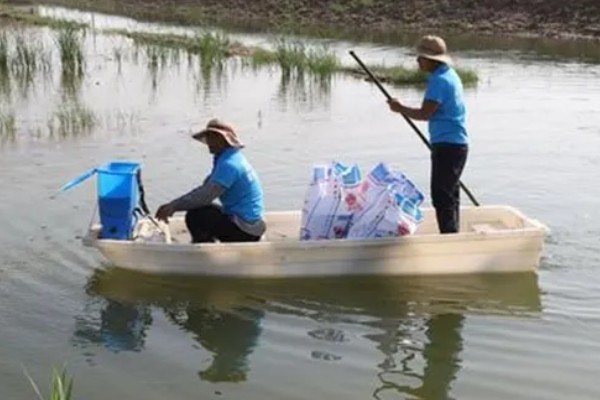 养殖梭子蟹要注意什么，水源不能受到污染