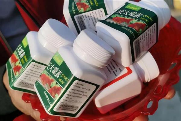 庆大霉素是什么,属于氨基糖苷类药