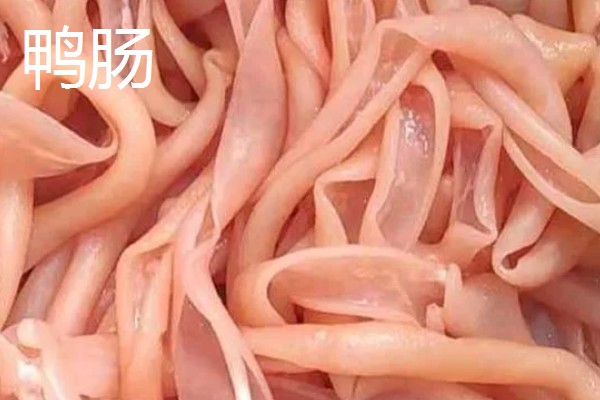 垂钓胡子鲶鱼适合用什么饵料，鸡肝、鸭肠、蚯蚓等鱼饵均可选择