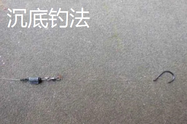 垂钓胡子鲶鱼适合用什么饵料，鸡肝、鸭肠、蚯蚓等鱼饵均可选择